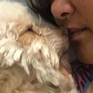 Meet your Posher, Eileen